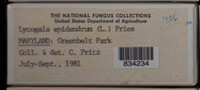 Image Associated With the Occurence